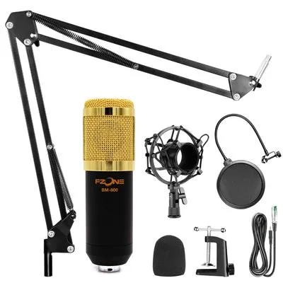 Condenser Microphone with Alloy-Arm Mic holder BM 800