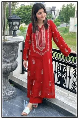 2 Pcs Women's Unstitched Embroidered Suit