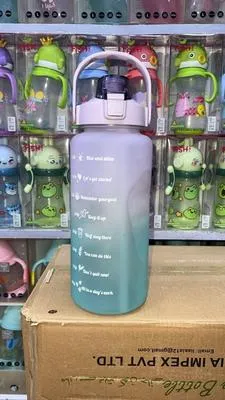 Transparent Insulated Vacuum Water Bottle - 1 Pc for Cold Water Retention