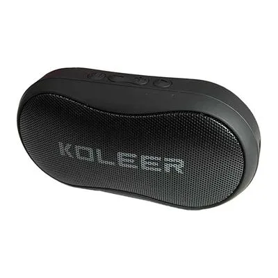Portable Speaker