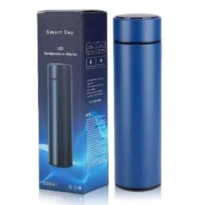 Insulated Temperature Water Bottle - 1 Pc - Keeps Water Cold for Refreshing Hydration