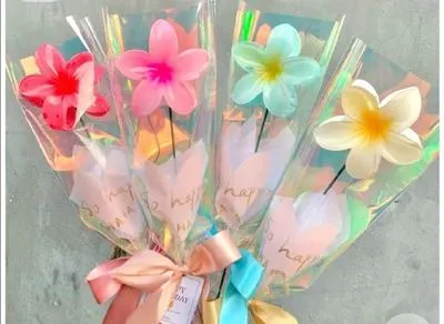 Medium Length Hair Catcher - 3 Pcs Set in Blue, White & Pink