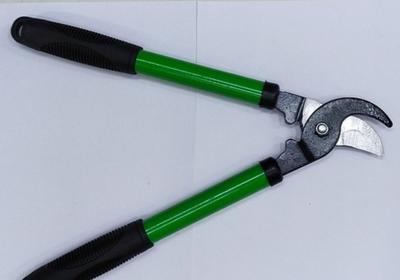 Premium Stainless Steel Gardening Scissor - 1 Piece