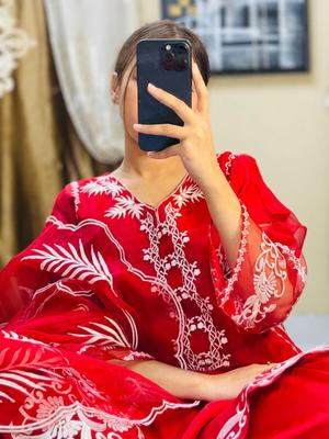 3 Pcs Women's Stitched Fancy Organza Embroidered Suit