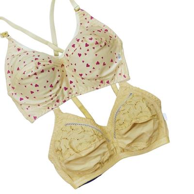 Cotton Embroidered Bra, Pack Of 2