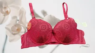 Nylon Lace Work Pushup Padded Bra