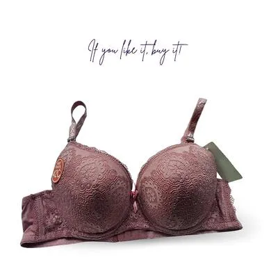 Nylon Lace Work Pushup Padded Bra