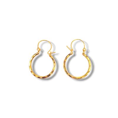 Women's Elegant Hoops Earrings