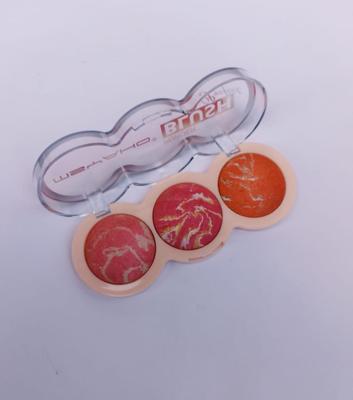 3 In 1 Glowy Blush On Kit