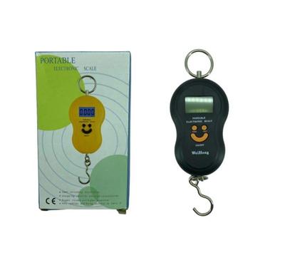 Portable Hanging Fish Scale