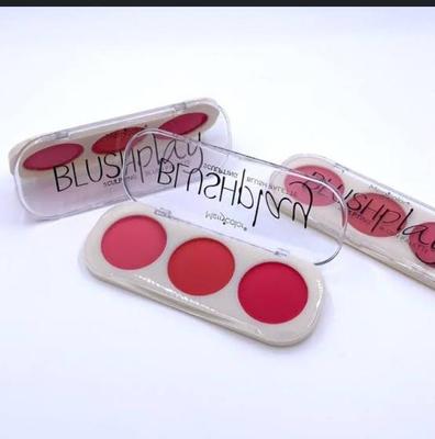 3 In 1 Blush On Kit