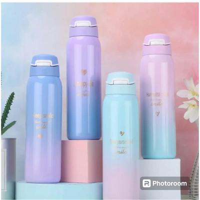 Gradient Color Stainless Steel Insulated Water Bottle With Straw 500mla