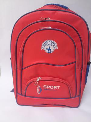 Backpack For School And College
